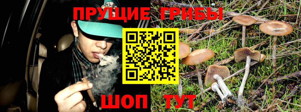 Псилоцибиновые грибы ЛСД Тулун