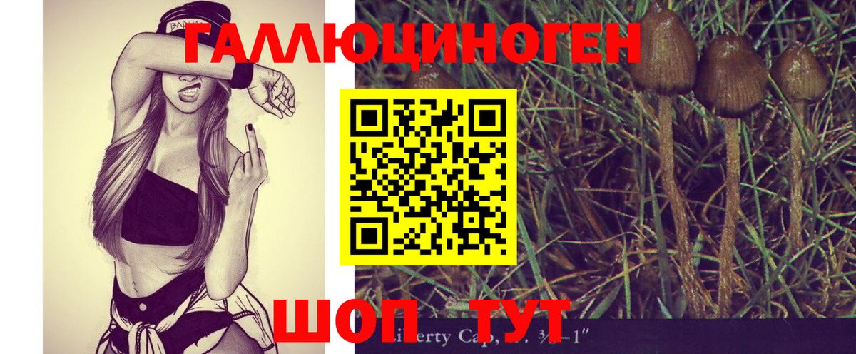 Псилоцибиновые грибы MAGIC MUSHROOMS  Галлюциногенные грибы мицелий  Тулун  Вход с VPN 
